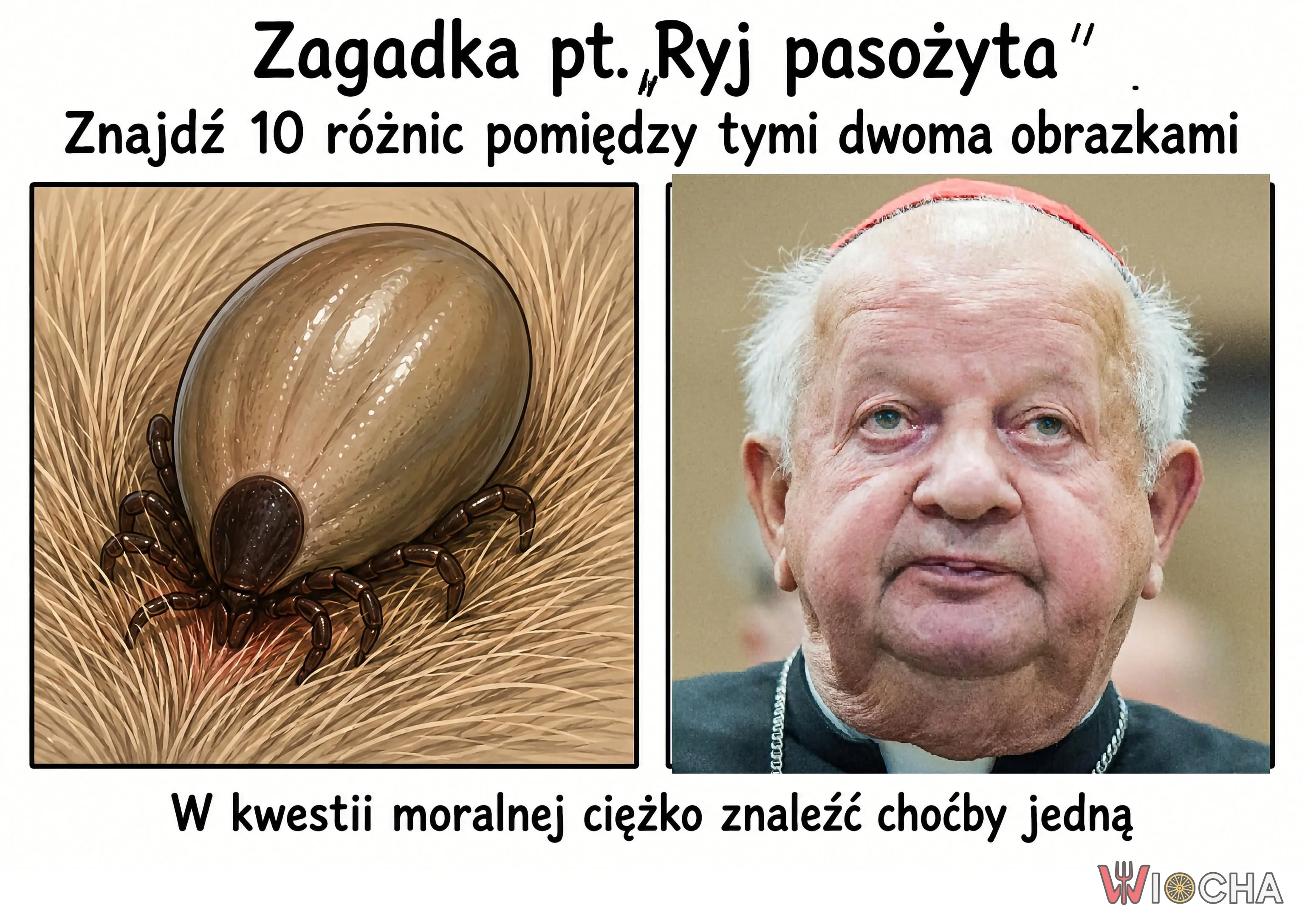 Pasożyt