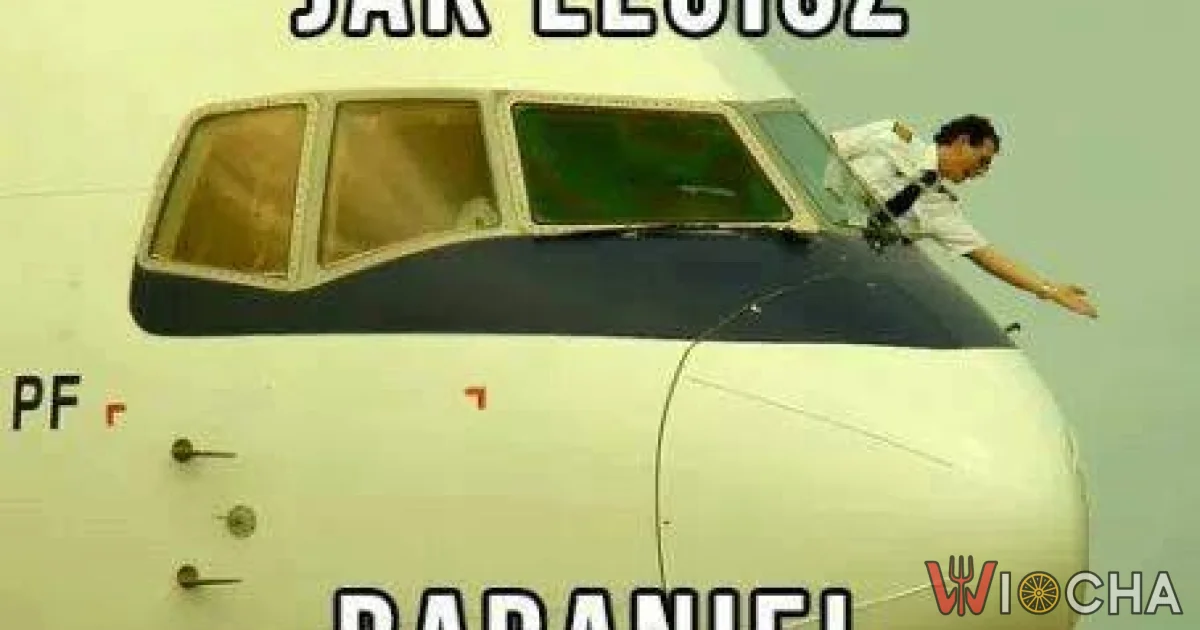 Jak lecisz, baranie?!