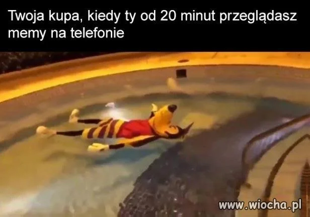Tryb nieskończoności