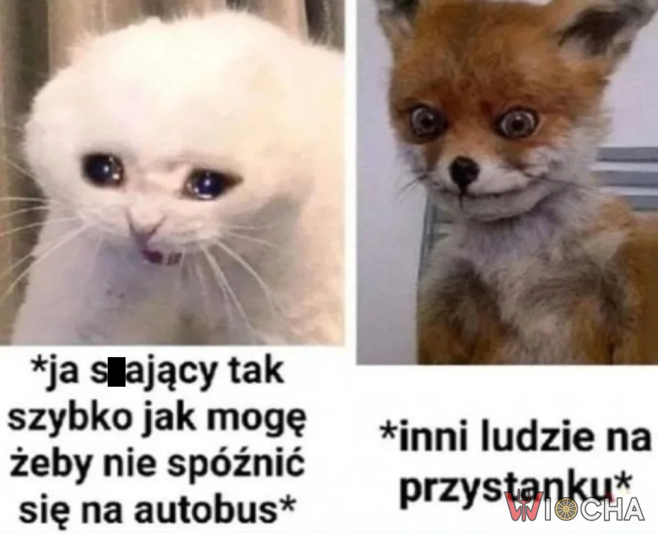 Ale co Pan robi?