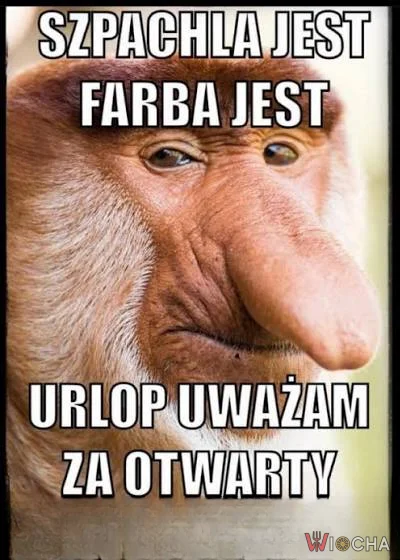 Urlop w pełni