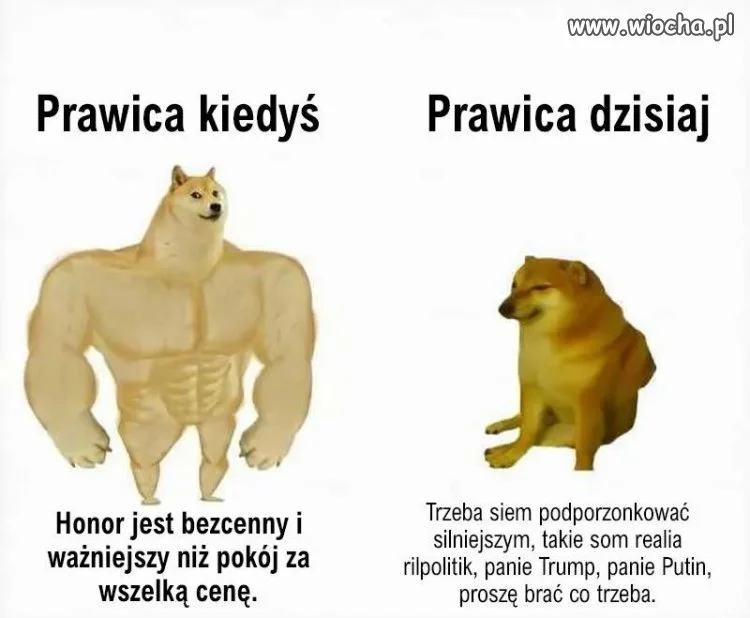 Silni w retoryce, słabi w praktyce