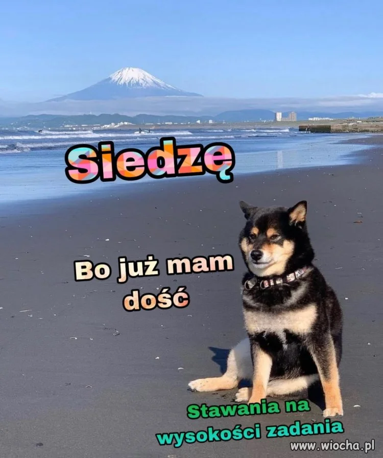 Mam dość stawania na wysokości zadania