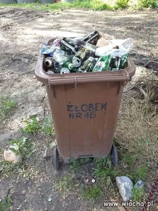 Znaleziska po długim weekendzie