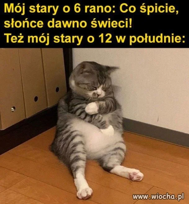 Harmonogram według starego