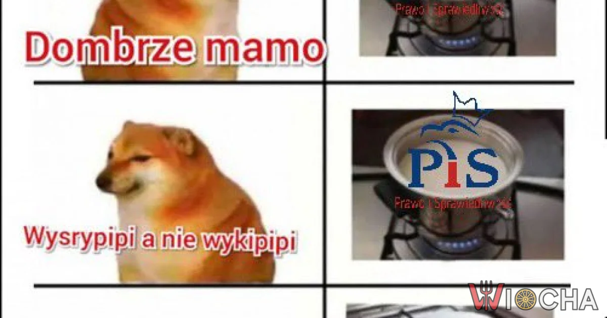 Nie ma opcji, nie wykipi