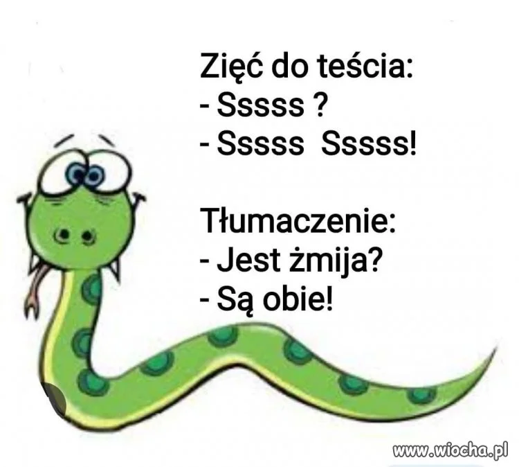 Jest żmija?