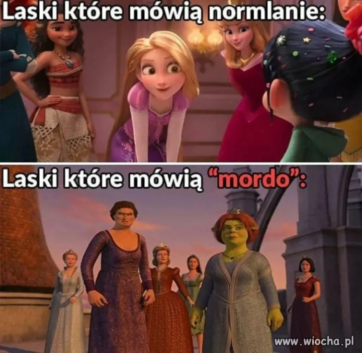 Mordo, daj spokój