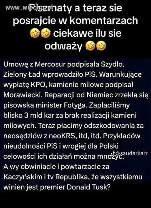 ZAWSZE PISIORY ODWRACAJĄ KOTA OGONEM