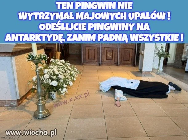 O godności kobiety w papistowskiej sekcie