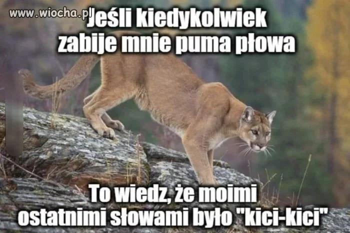 Nie oszukujcie się 
