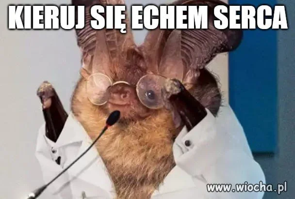 Inspiracja dnia