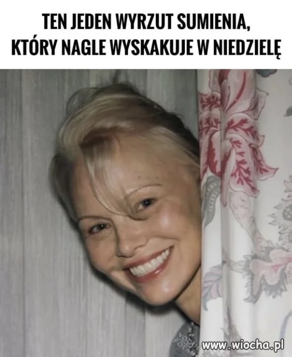 Jak śpiewała Kasia Nosowska