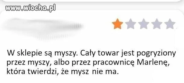 Jedna gwiazdka tylko za to