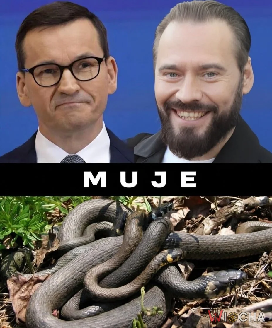 Rozwiąż rebus