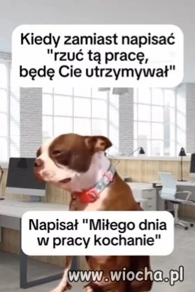 Miłego dnia w pracy?