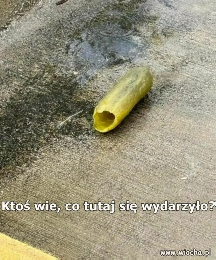 Ciekawostka i zagadka