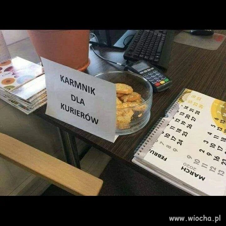 Karmnik dla kurierów