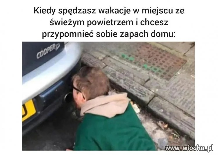 Mieszkańcy Krakowa i Śląska