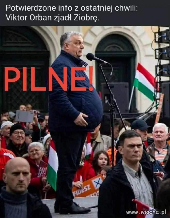 Gratulacje!