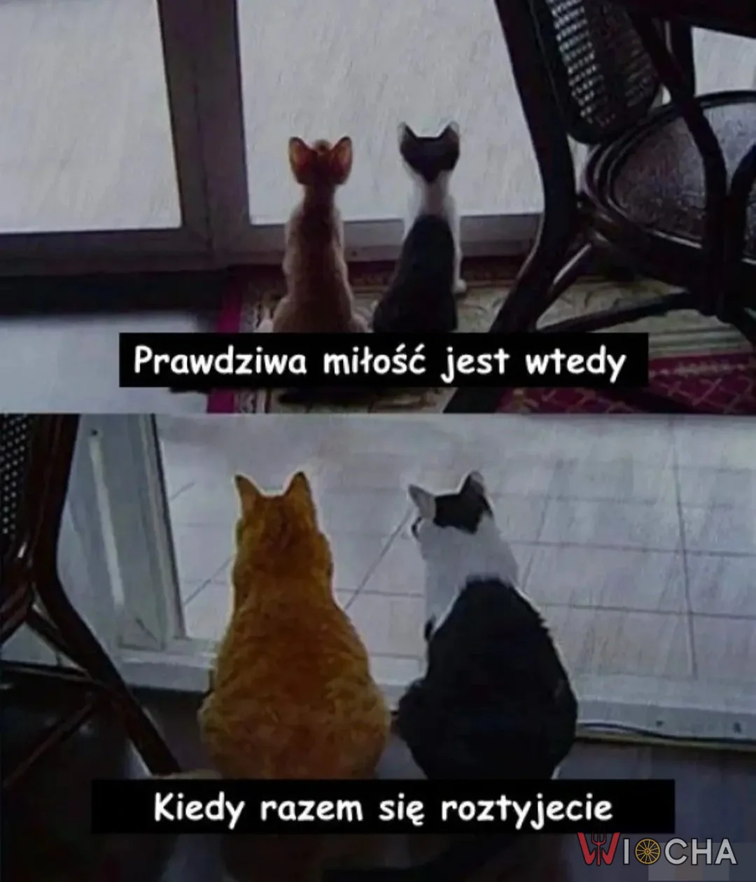 Razem się roztyjemy