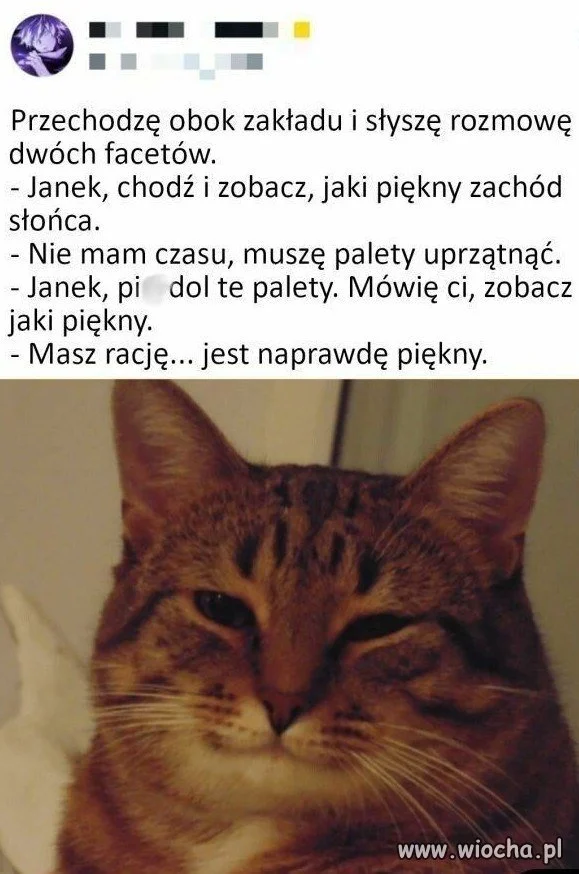 Janek, w słońcu to nie tylko palety