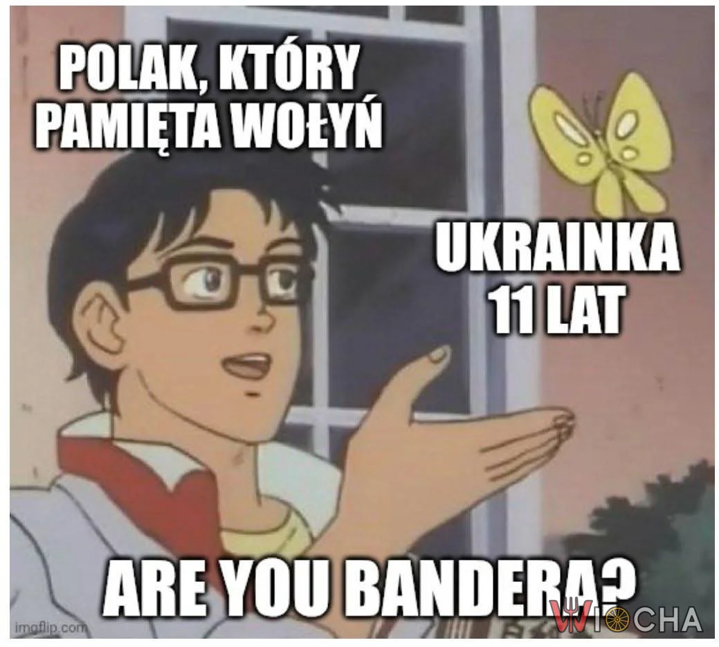 Logika 100%