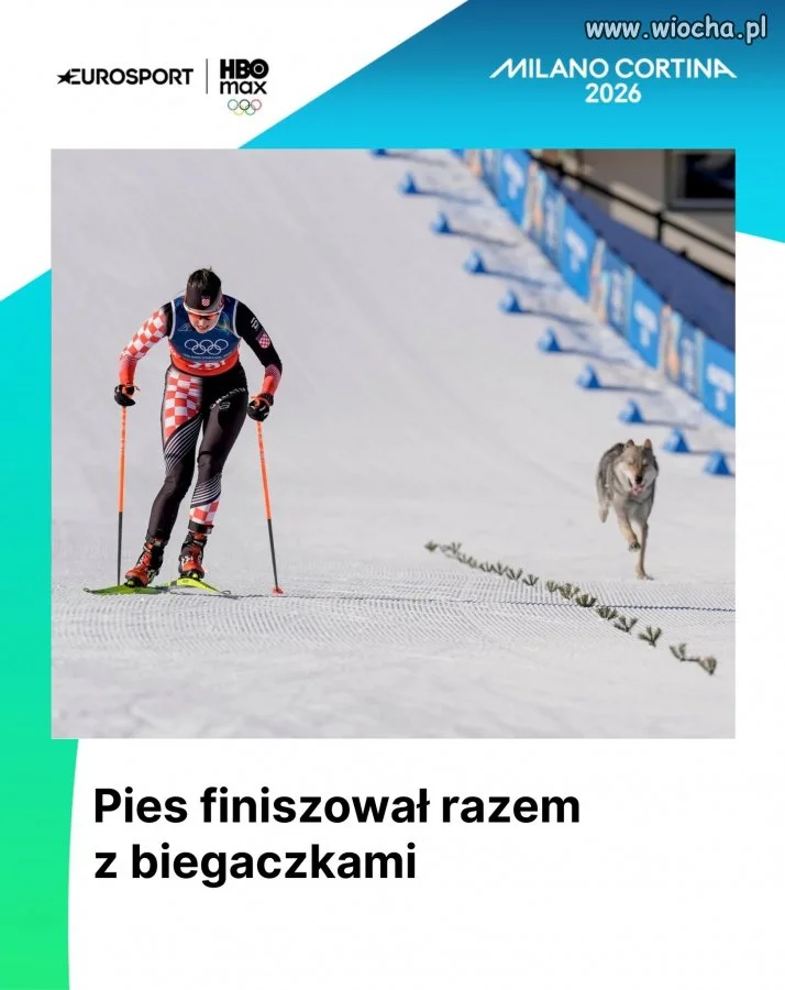 Człowiek kontra pies
