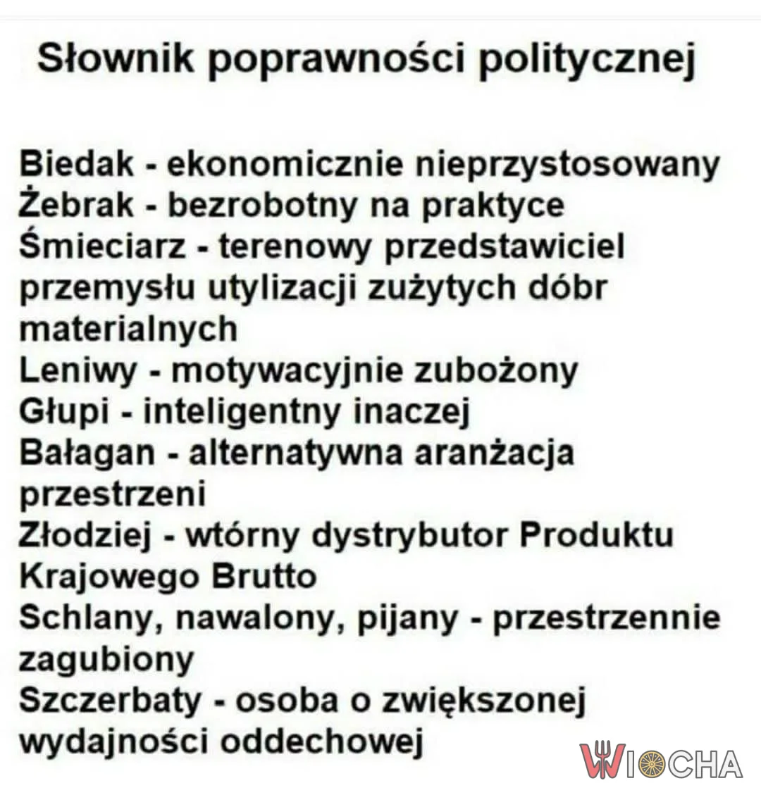 Słownik współczesnych absurdów
