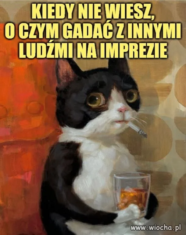 Tryb obserwatora