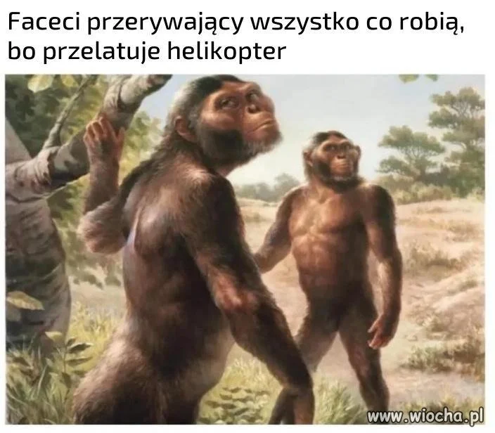 Czy to męska rzecz?