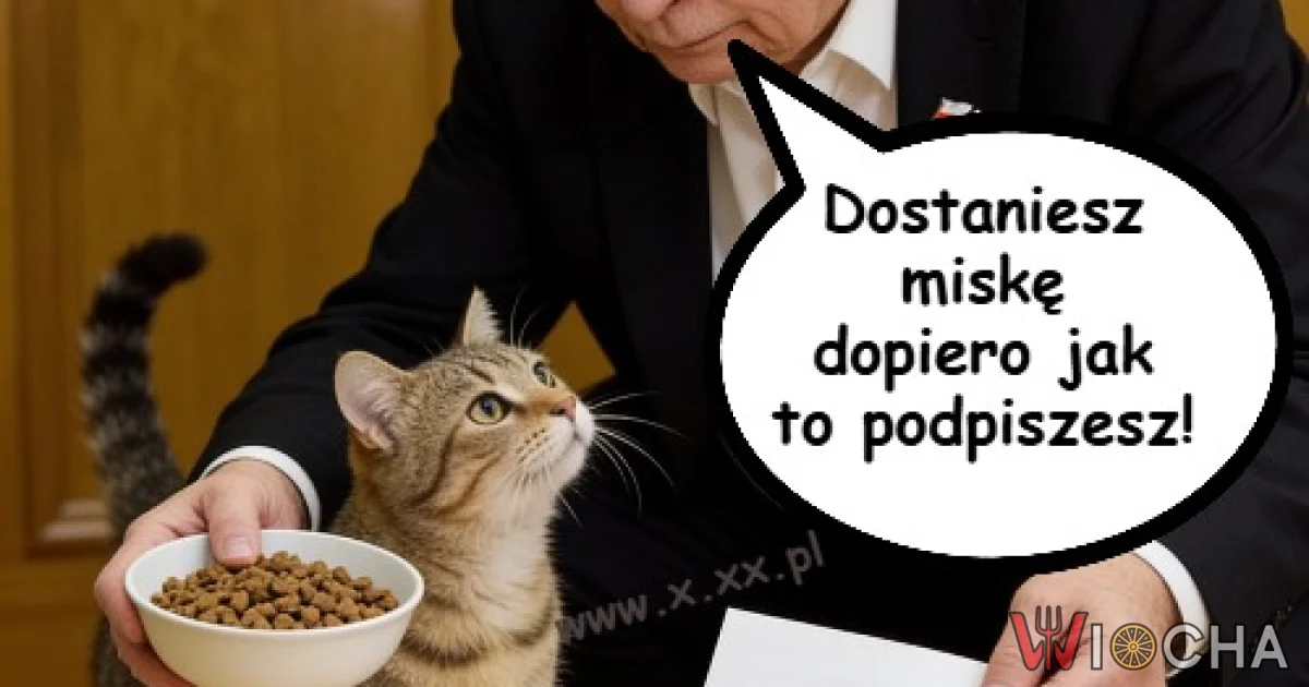 Odcisk łapki wystarczy 1