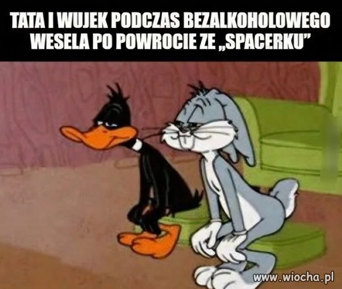 Wesele bez alkoholu? Z discopolo na pokładzie?