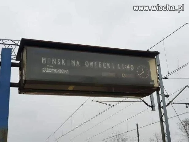 Może lubi zwierzątka