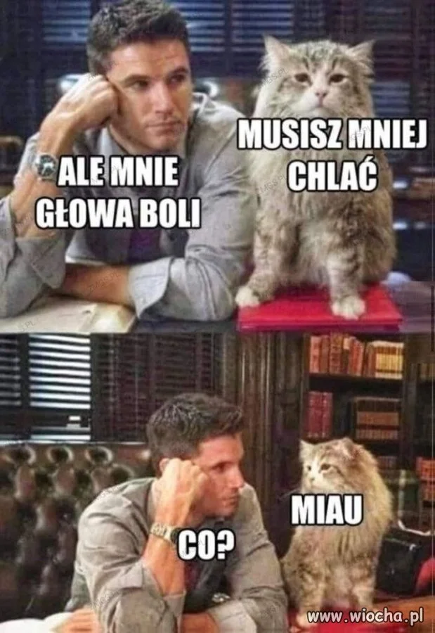 Nikt tak brutalnie nie ocenia