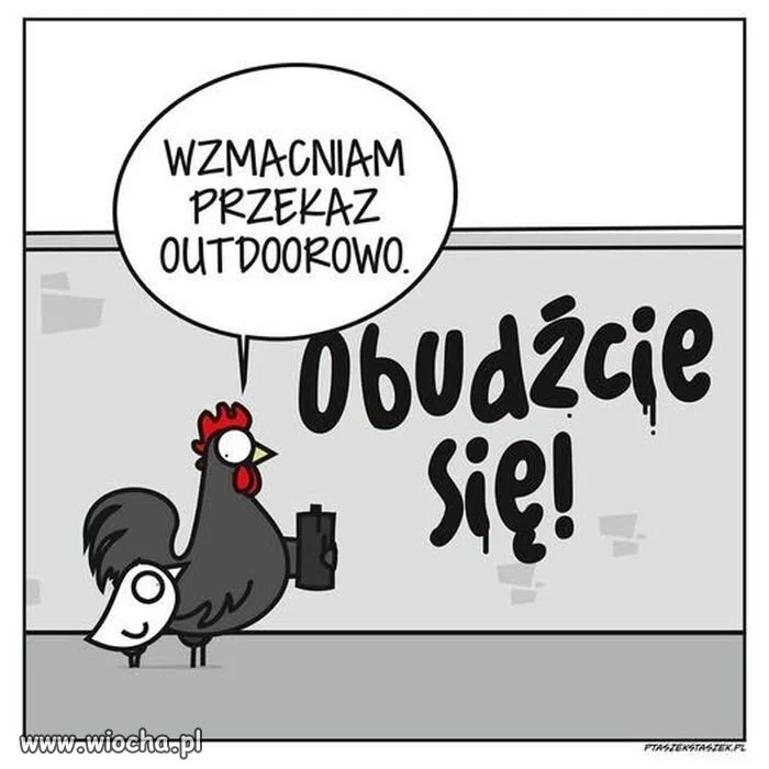 Kiedy zwykle kukuryku już nie wystarcza 