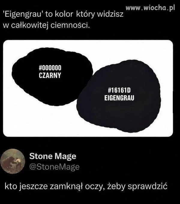 Debili nie brakuje