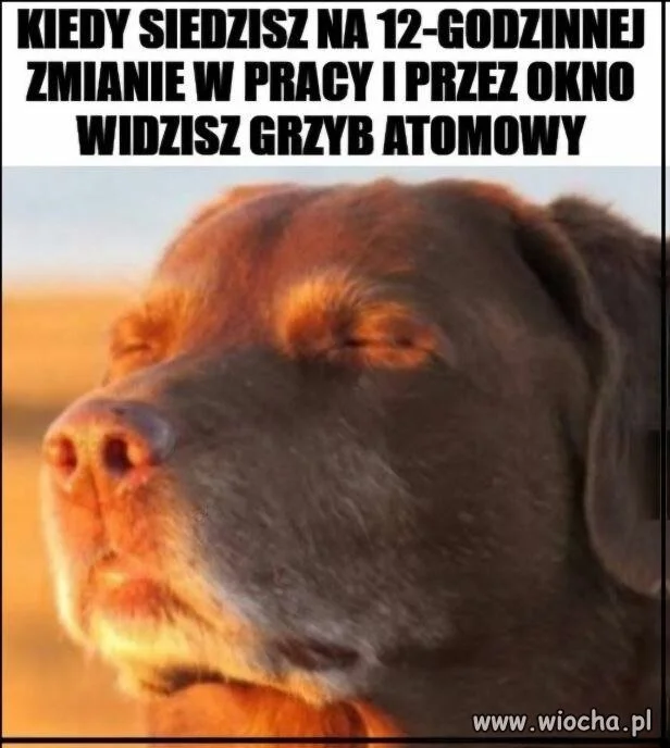 Nie trzeba będzie pójść jutro do pracy