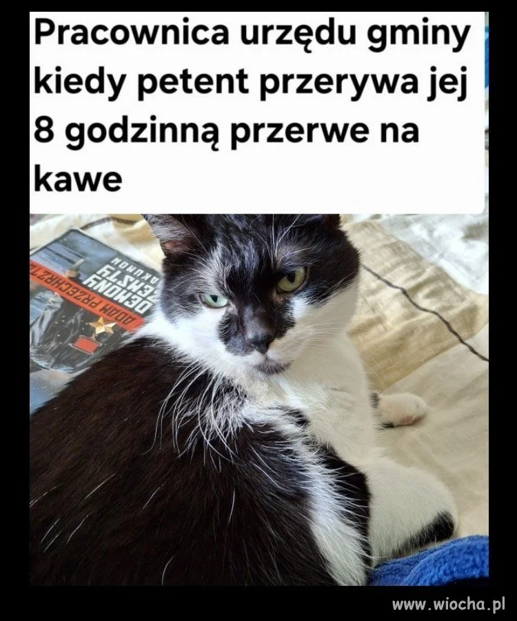 A umie Pan czytać?