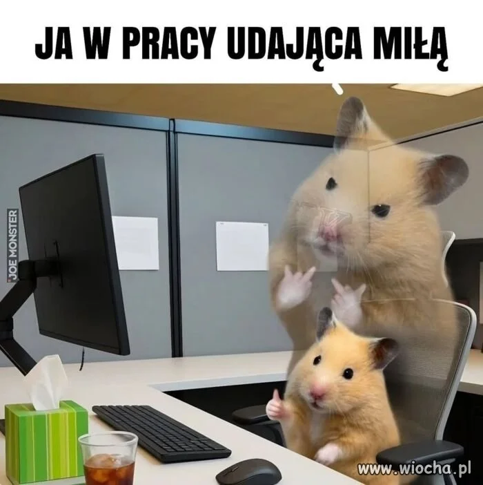 Kiedy musisz być profesjonalny, a masz dość