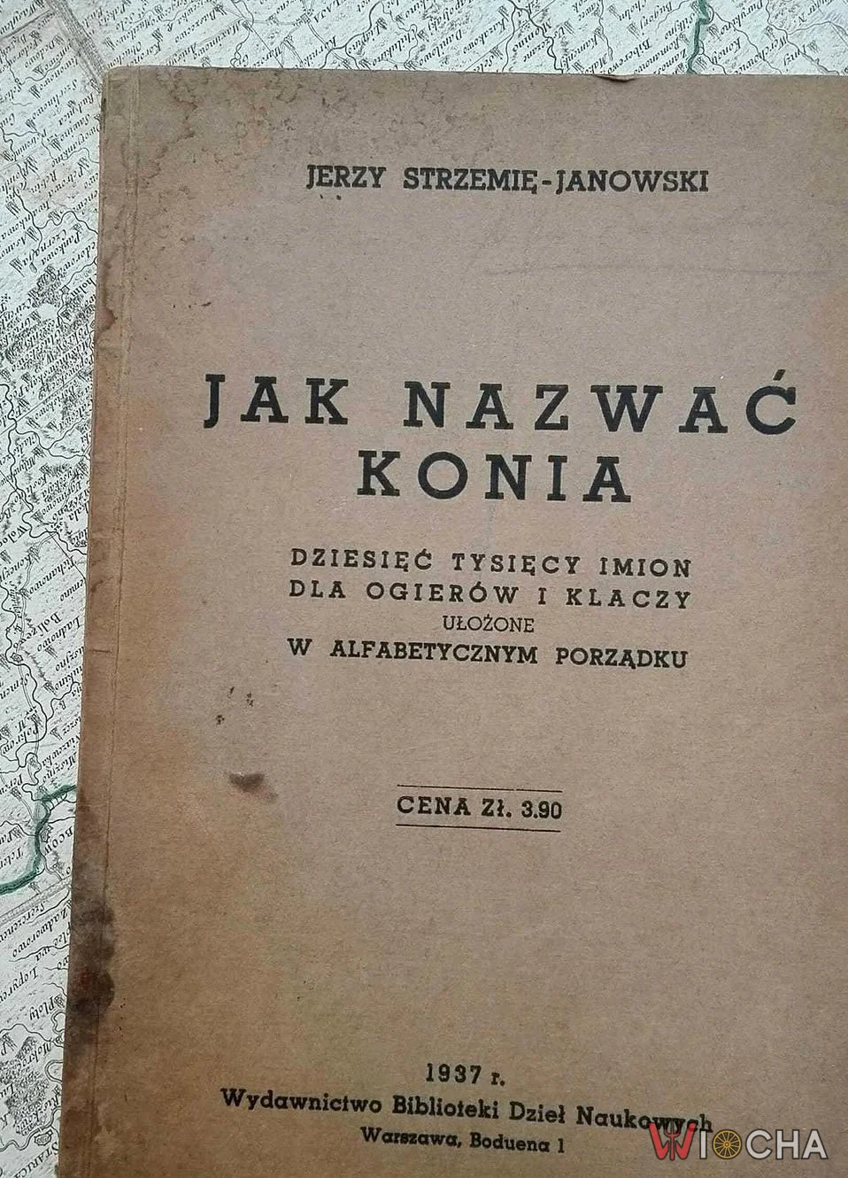 Strasznie dużo tych propozycji imion dla konia
