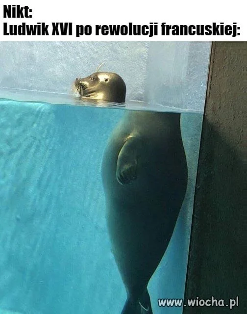 Mem z kategorii historycznej