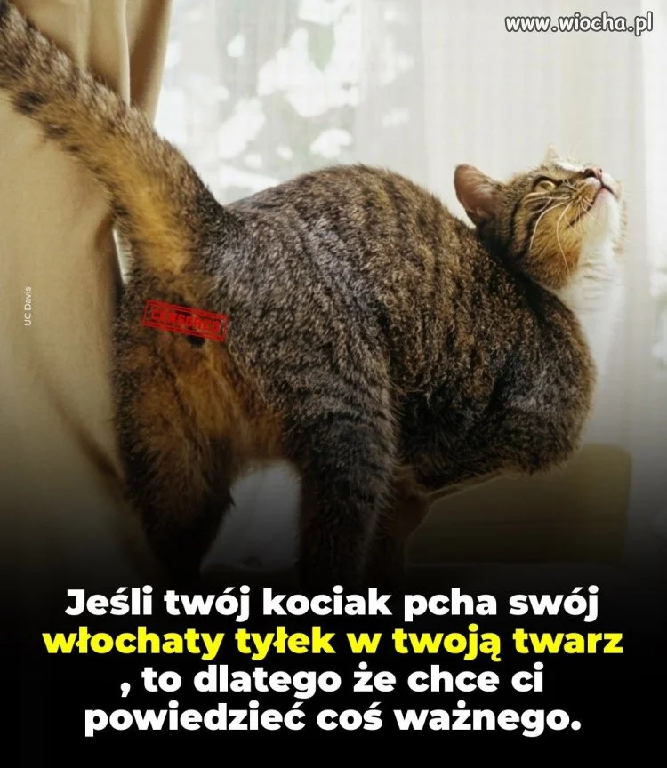 Aha, to dobrze wiedzieć