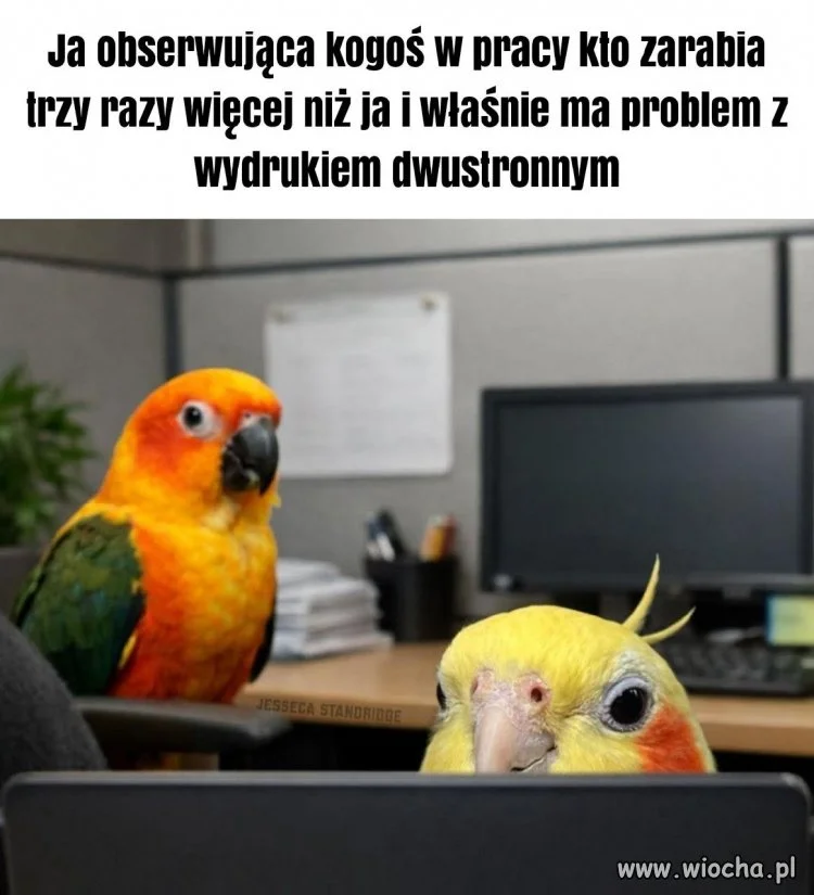 To boli za każdym razem