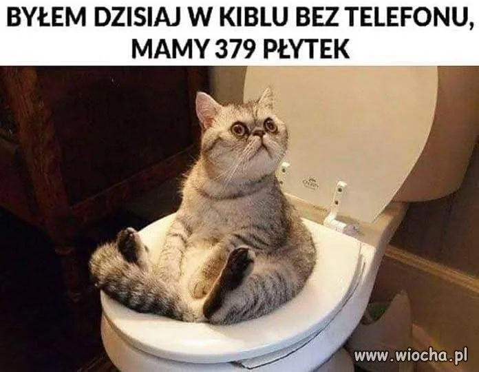 Analiza otoczenia