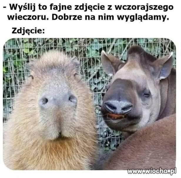 Kiedy chciałeś być cool, a wyszło jak zawsze