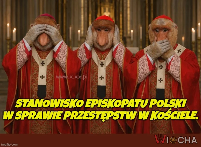 Oficjalne stanowisko  episkopatu.