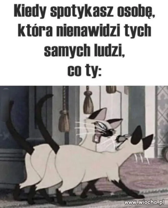 O stary nadajemy na tych samych 