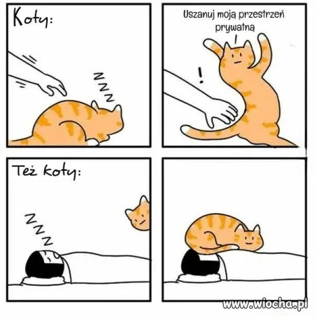 Prywatność? Co to takiego?