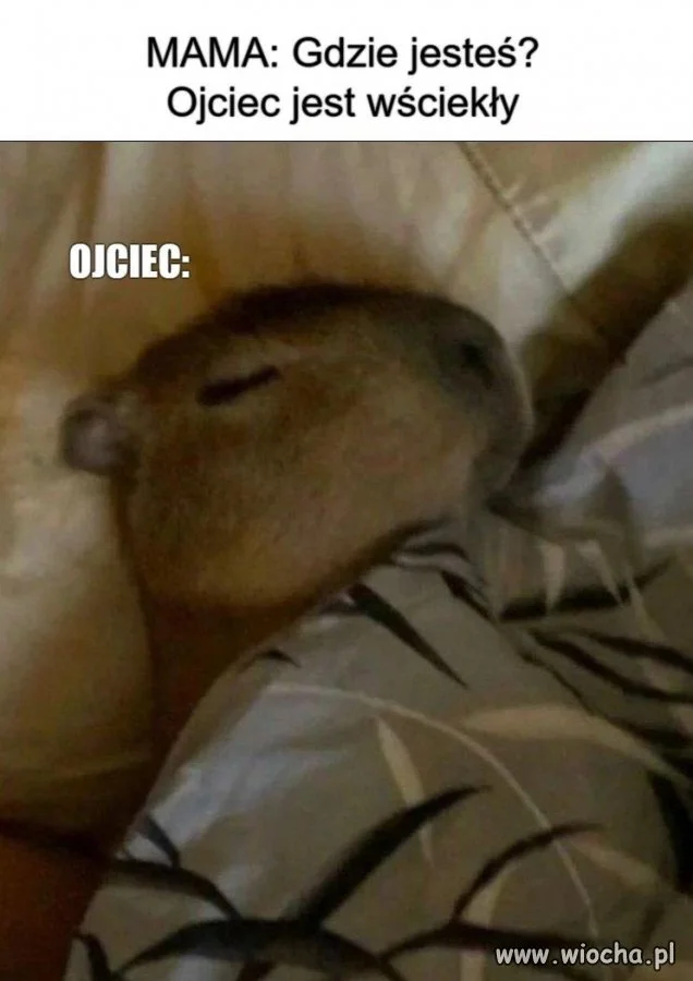 Mama mówi, że ojciec jest wściekły